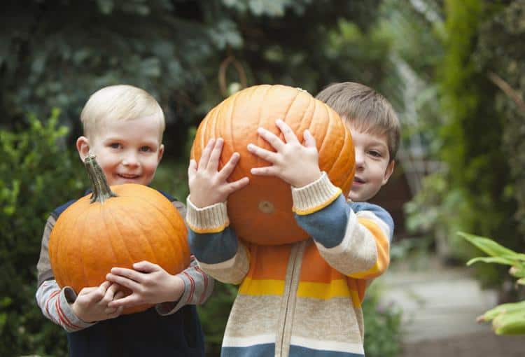 A photograph of two children holding pumpkins.