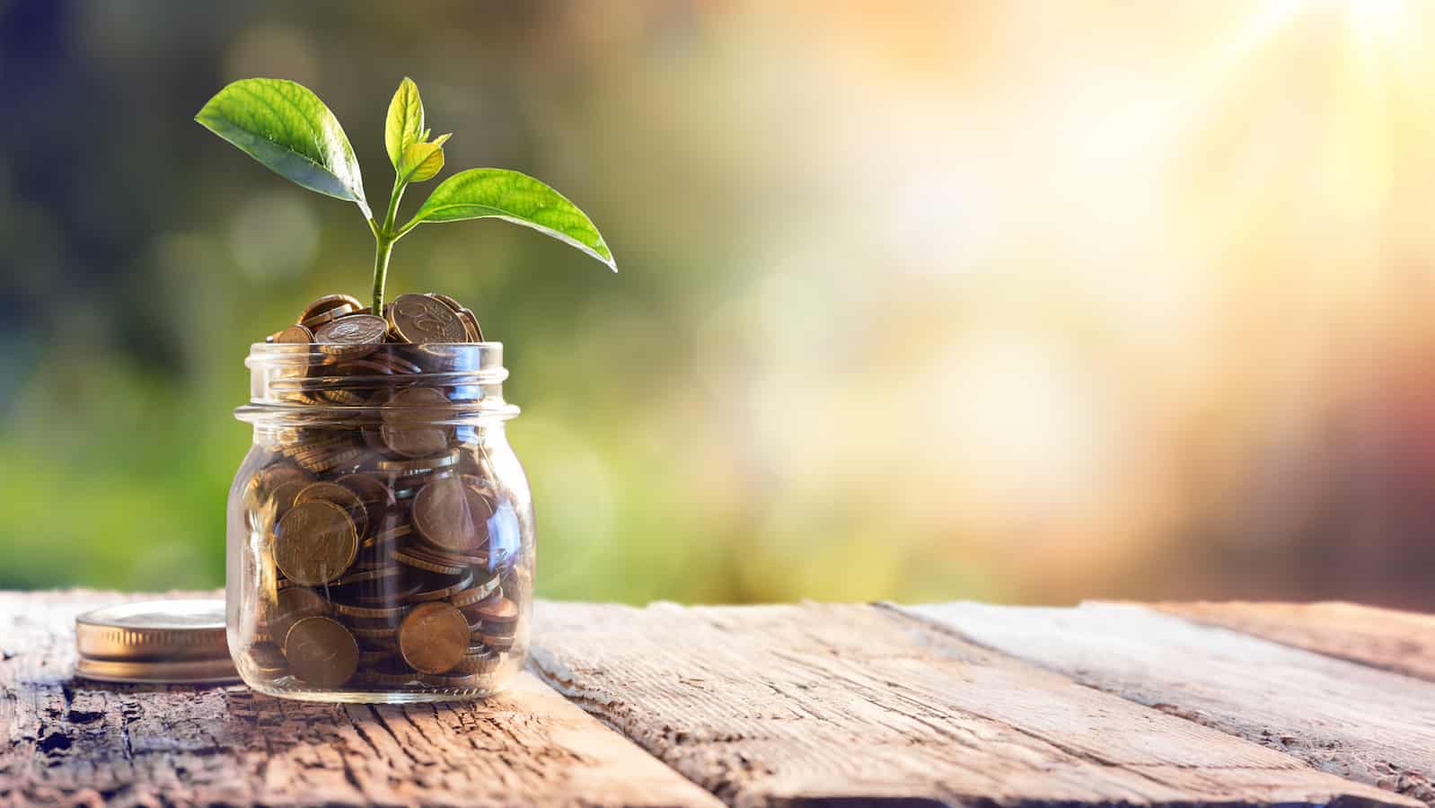 A photograph of a plant growing out of a jar of coins in the sunlight.